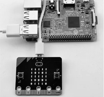 Figure 2-9   Using micro:bit with a Raspberry Pi.
