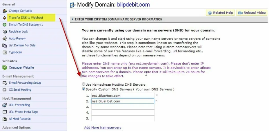 Figure 1-3. Selecting Transfer DNS to Webhost opens a page where you can enter the host’s nameservers