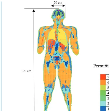 FIGURE 2.5: A human body model represented by different relative permittivity