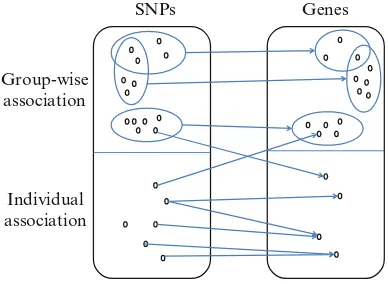 Fig. 4 An illustration ofindividual and group-wiseassociations