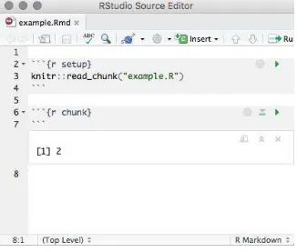 FIGURE 3.9: Execute a code chunk read from an external R script.