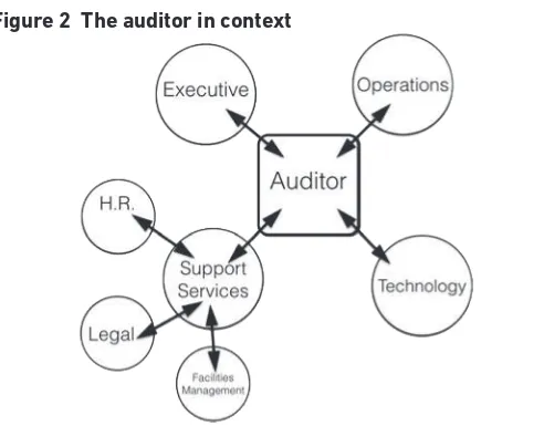 Figure 2 The auditor in context
