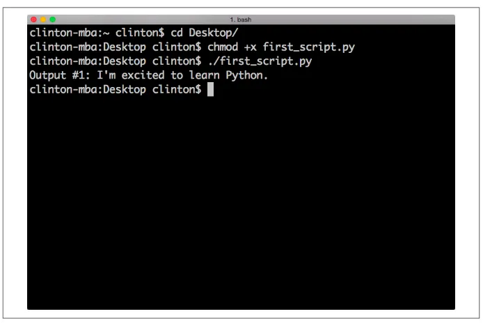 Figure 1-6. Running a Python script in a Terminal window (macOS)