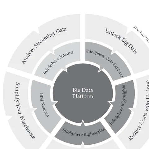 Figure 3-2 IBM’s Big Data platform supports multiple entry points.