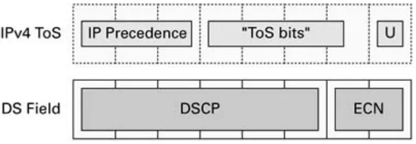 Figure 1-7I m plem ent ACLs, ACPs, ACEs, and low-latency queuing on the Cisco Catalyst 2950 and shows the DS field form at.