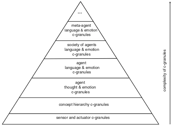 Fig. 4 Hierarchy of c-granules [36]