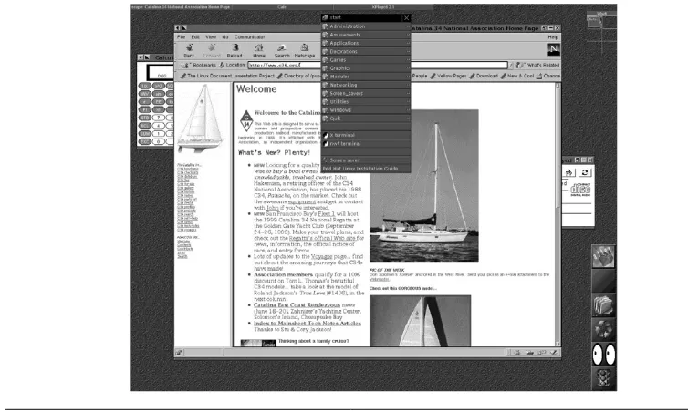 Figure 3.2 AfterStep emulates the user interface of the NeXT computer.