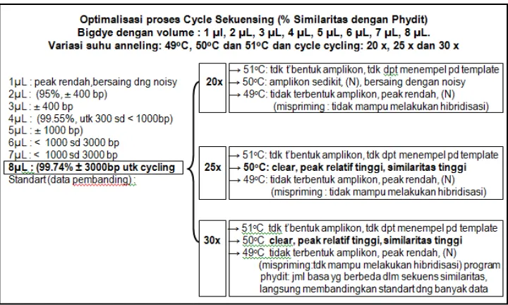 Gambar 1. Hasil sekuensing untuk 1 µL  sd 8 µL untuk suhu anneling 49oC, 50oC dan 51oC dengan masing-masing cycle cycling 20 kali, 25 kali dan 30 kali (Yuniarti et al., 2016)  
