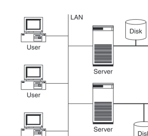 Figure 1.1In a server-centric IT architecture storage devices exist only in relation toservers.