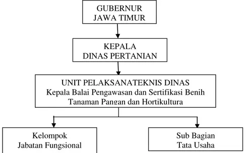 Gambar  2  Struktur  organisasi  unit  pelaksana  teknis    pengawasan  dan  sertifikasi  benih tanaman pangan dan hortikultura Provinsi Jawa Timur
