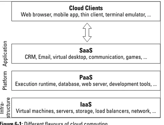 Figure 6-1: Different flavours of cloud computing.