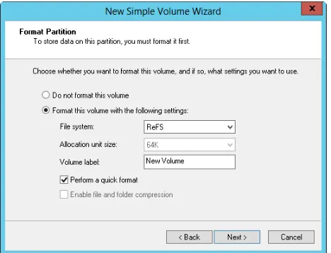 FIGURE 1-5 Set the formatting options for the partition on the Format Partition page.