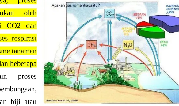 Gambar  2 : Proses  terbentuknya rumah kaca