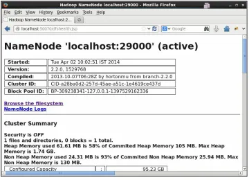 Figure 4: Namenode web UI
