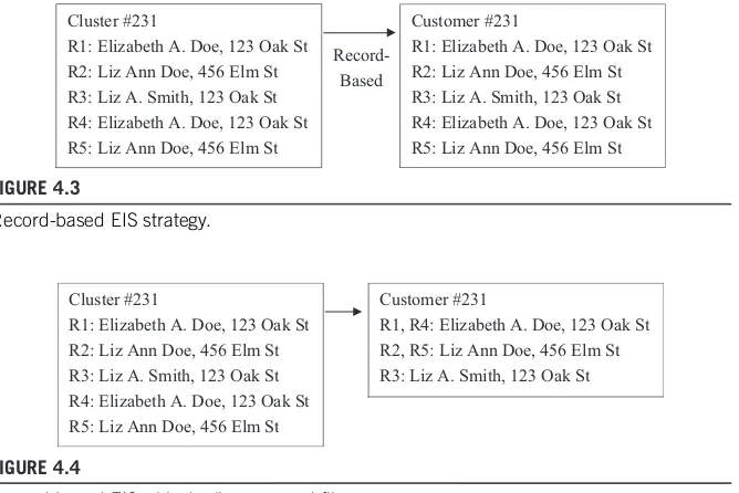 FIGURE 4.3Record-based EIS strategy.