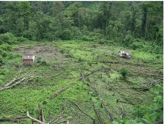 Gambar 1.1  Ladang Berpindah 
