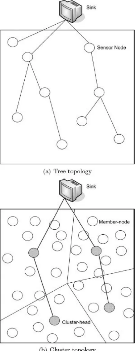 FIGURE 1.10:  Examples of different topologies