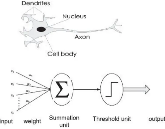 FIGURE 2.10:  Artificial neuron and its input