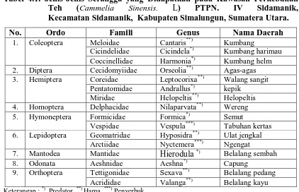 Tabel 4.1. Jenis-Jenis Serangga yang Didapatkan pada Kawasan Perkebunan Teh (Cammelia Sinensis