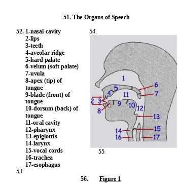 56.Figure 157.The set of sounds is called the speech sounds language and represented