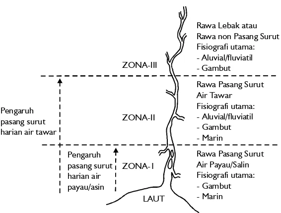 Gambar 1.Pembagian zona lahan rawa di sepanjang daerah aliran sungaibagian bawah dan tengah (Subagjo, 1998)