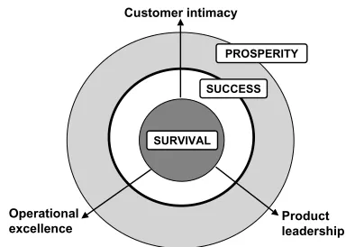 Figure 2.10Advantage and disadvantage—dimensions of competency (source:M. Treacy and F
