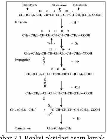Gambar 2.1 Reaksi oksidasi asam lemak