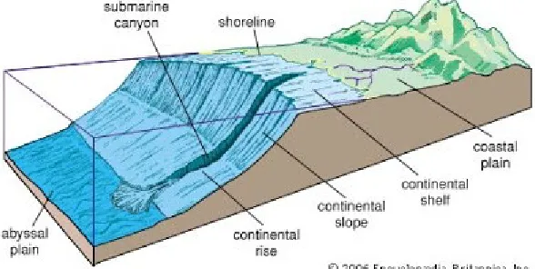 Gambar 6. Submarine canyon