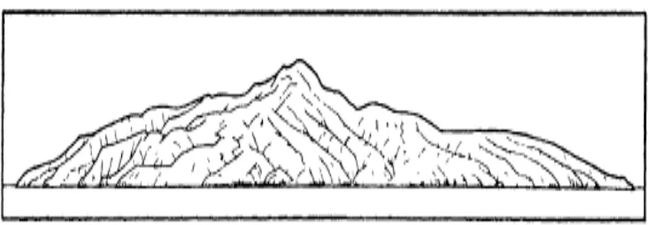 Gambar 10. Gambar Gunung Paluweh (875m) Yang Sangat Tererosi, Pulau