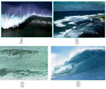 Gambar 2.2 A)plunging breaker, B) spilling breaker, C)surging breaker, D) Surf 