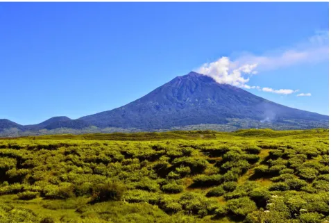 Gambar 1.1 Gunung