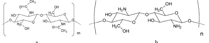 Gambar 8 a. Struktur kitin,  b. Struktur kitosan (hasil deasetilasi kitin dengan NaOH pekat)