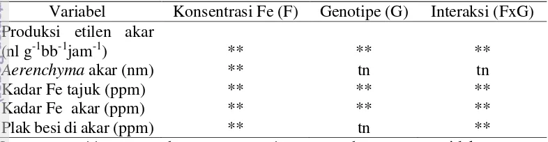 Tabel 2 Hasil analisis ragam perbedaan konsentrasi Fe, genotipe serta 