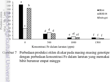 Gambar 7  Perbedaan produksi etilen di akar pada masing-masing genotipe 