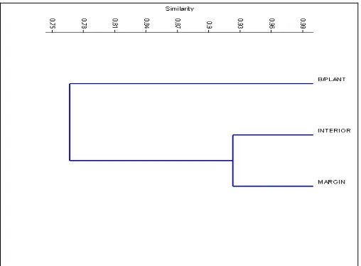 Figure 2.  Dendrogram from a cluster analysis based on presence and absence of each family of non-parasitoids recorded at different localities in the oil palm area, utilizing Jaccard’s Coefficient Index (= similarity index) and the unweighted-pair groups m