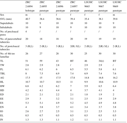 TABLE 1. Morphological data taken for the type series. BT=broken tail; (r)= regenerated tail; /=unable to assess