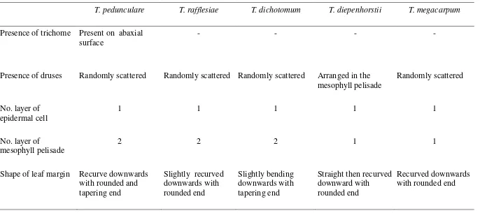 Table 3: Anatomical features of lamina and leaf margin between Tetrastigma species 
