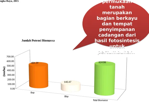 Gambar 4. Total Potensi Biomassa