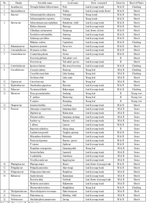 Table 2.  List of feed plants of mouse deer and barking deer in Gunung Halimun National Park