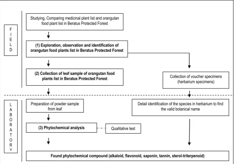 Figure 2: Research activities  
