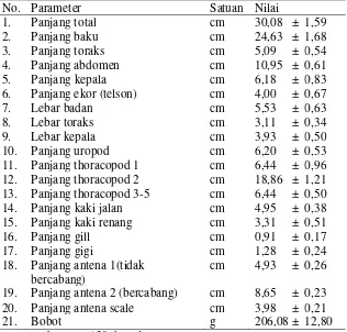 Tabel 1. Ukuran panjang dan bobot udang ronggeng (Harpiosquilla raphidea) 