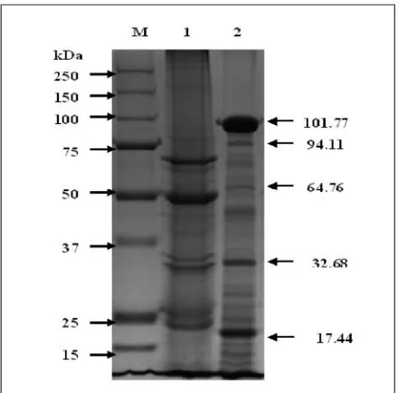 Figure 4. Larvicidal potency of BtReX02 against Culex quinquefasciatus and Aedes albopictus at 24 hours and 48 hours.