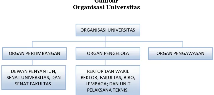 Gambar Organisasi Universitas 