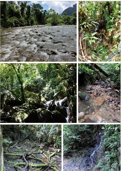 Figure 4. Examples of sampled locations. A Open stream loc. 12, B streamlet loc. 8b, C rocky stream loc