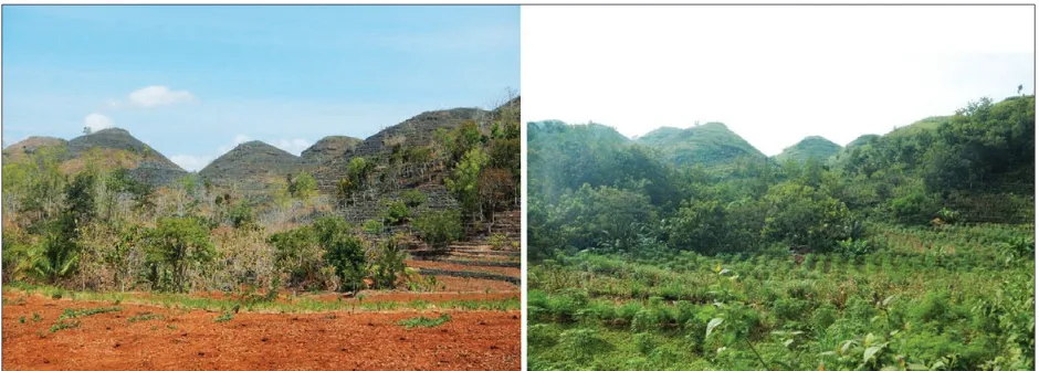 Fig. 2: Situation of agricultural land uses in dry and rainy seasons. In the photograph, conical karst is left as bare land, however most of the upper slope is planted with mixed perennial crops