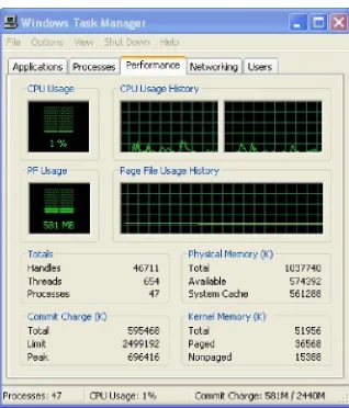 Gambar 4.17 Tampilan CPU Usage Server 