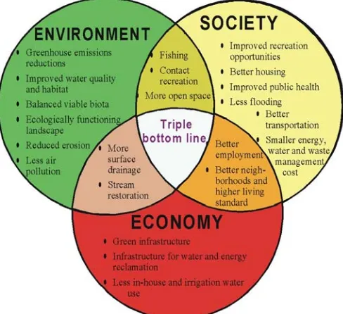 Figure 1 Trinity (triple bottom line) of goals for benefit/cost accounting for the urban sustainable development 
