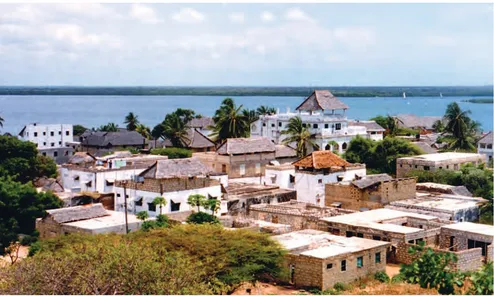 Fig. 1. The edge of growth, Lamu. The scene overlooks the inlet and Manda Island in the background