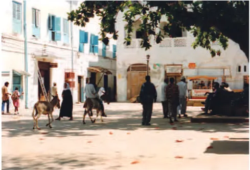 Fig. 10. The Town Square of Lamu, Kenya. Often described as a “classic” Swahili space, the Lamu Town Square is actually part of a modern system of public works initiated by the Sultan and carried forward by the British.