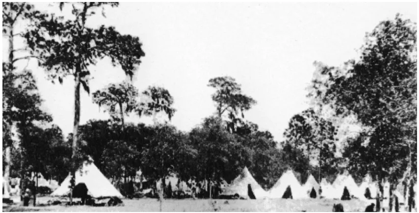 FiGURe 3. Camp of the 24th infantry, tampa Heights, June 1898. (Photo courtesy of the tampa Bay History Center.)